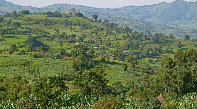 Etiopía, cuna y cultura del café