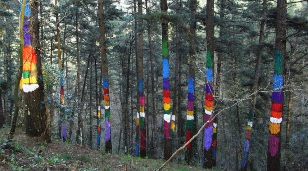 Bosque de Oma, donde la naturaleza es el lienzo