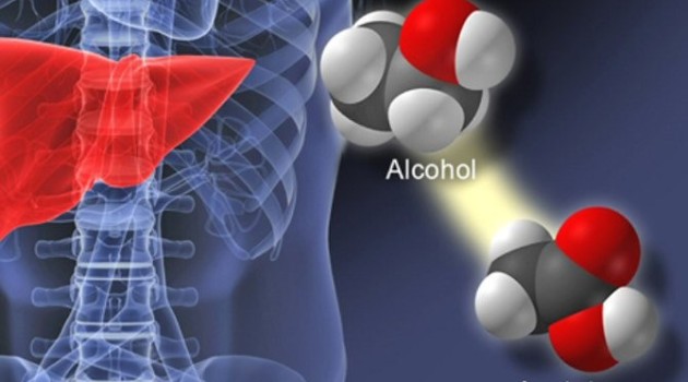 La química cerebral que se pone en marcha con el consumo excesivo de alcohol