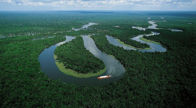 La capacidad de la región amazónica para almacenar CO2 puede mermar por cambios microbianos
