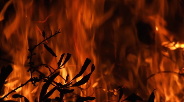 Los incendios en los bosques españoles han evolucionado con el clima