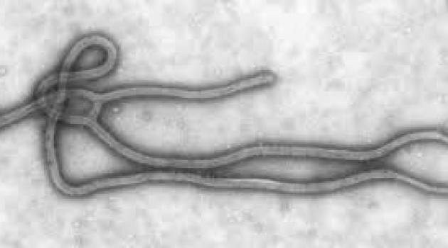 El virus del ébola se ceba con el personal sanitario que trata a los enfermos
