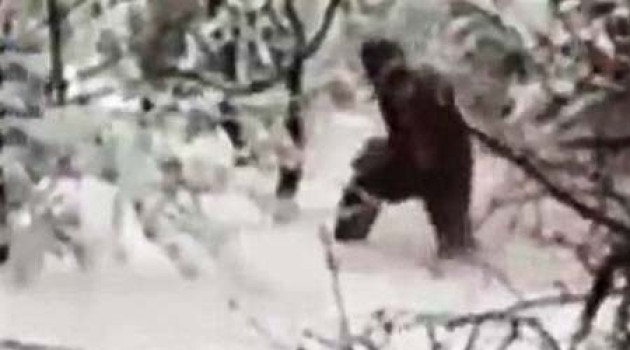 Investigadores graban por primera vez al Yeti en un bosque de Rusia