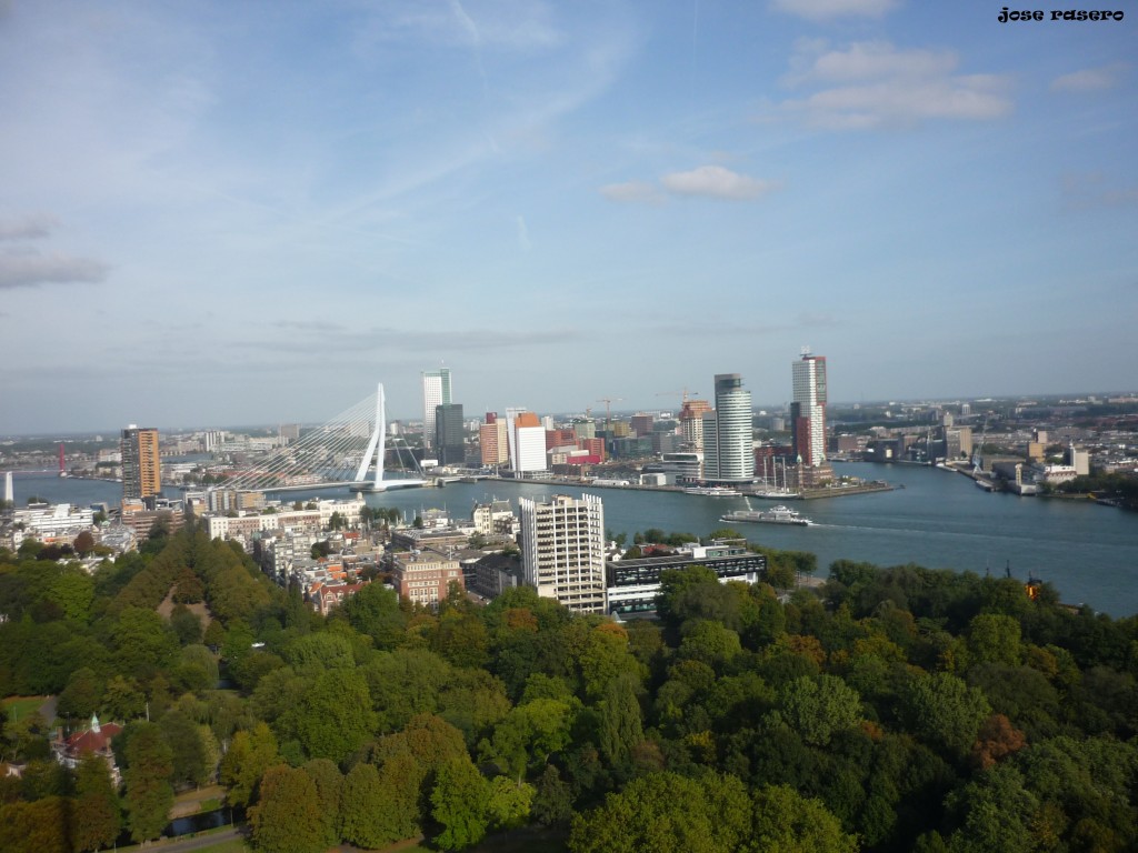 Rotterdam desde Euromast