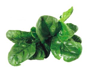 spinach-552987-m