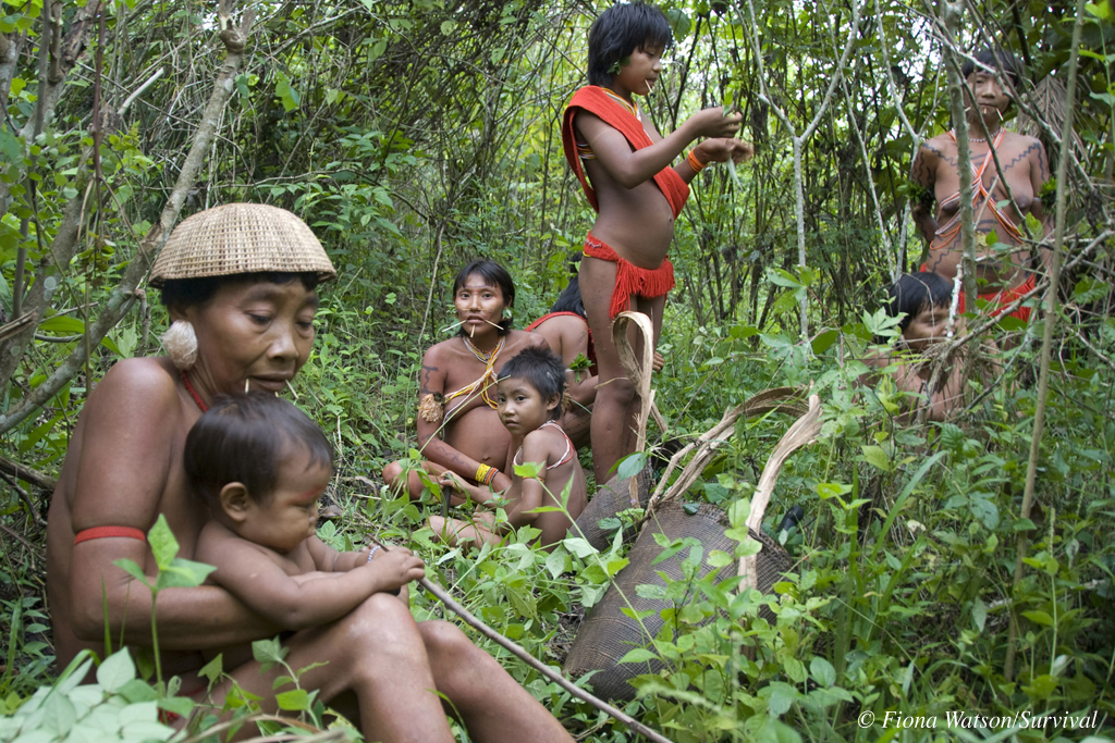Yanomami women and children rest in a forest garden, Brazil.