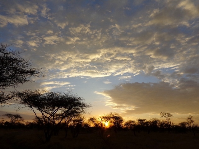 Puesta de sol en Serengeti