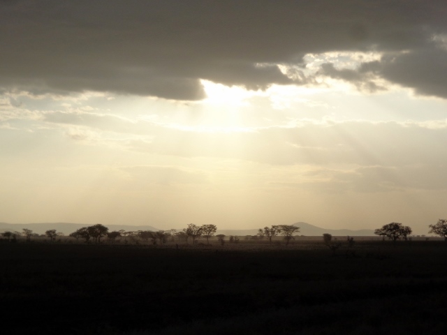 Sabana oscureciendo en Serengeti